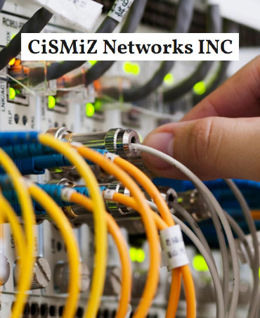 CiSMiZ Networks INC